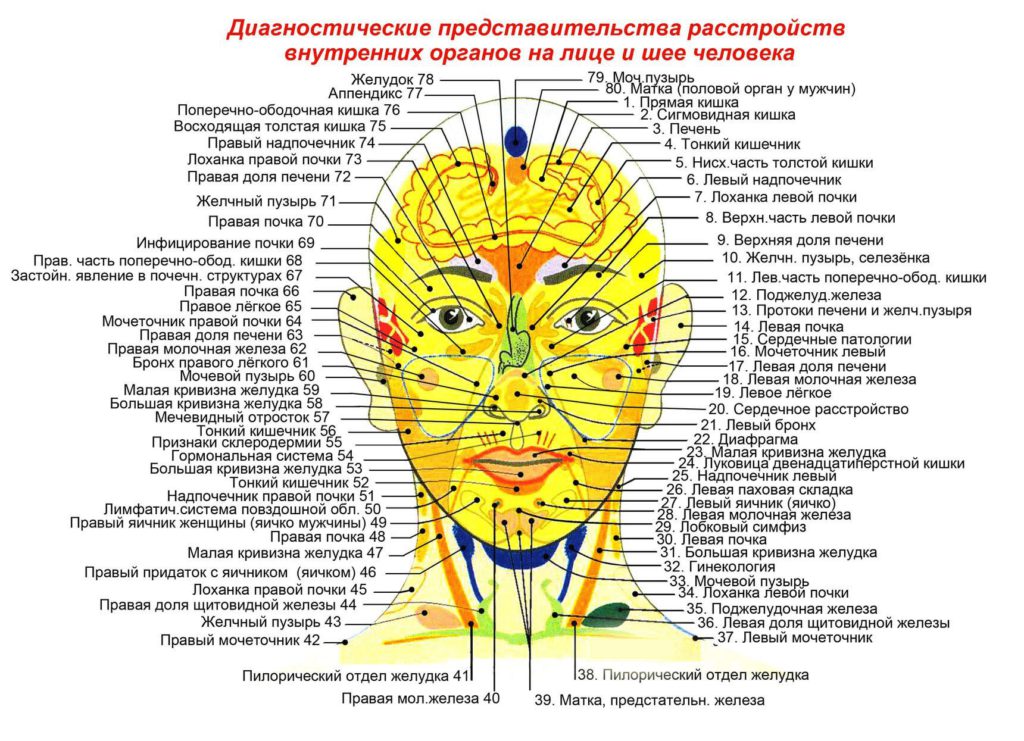 Зоны Захарьина-Геда на лице и шее